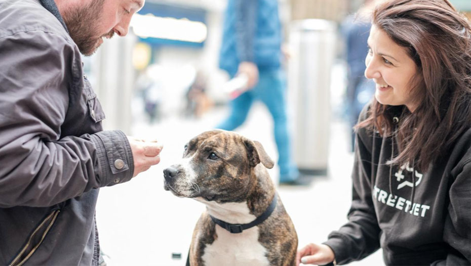 Oppsøkende jobber med å snakke med hund på gaten