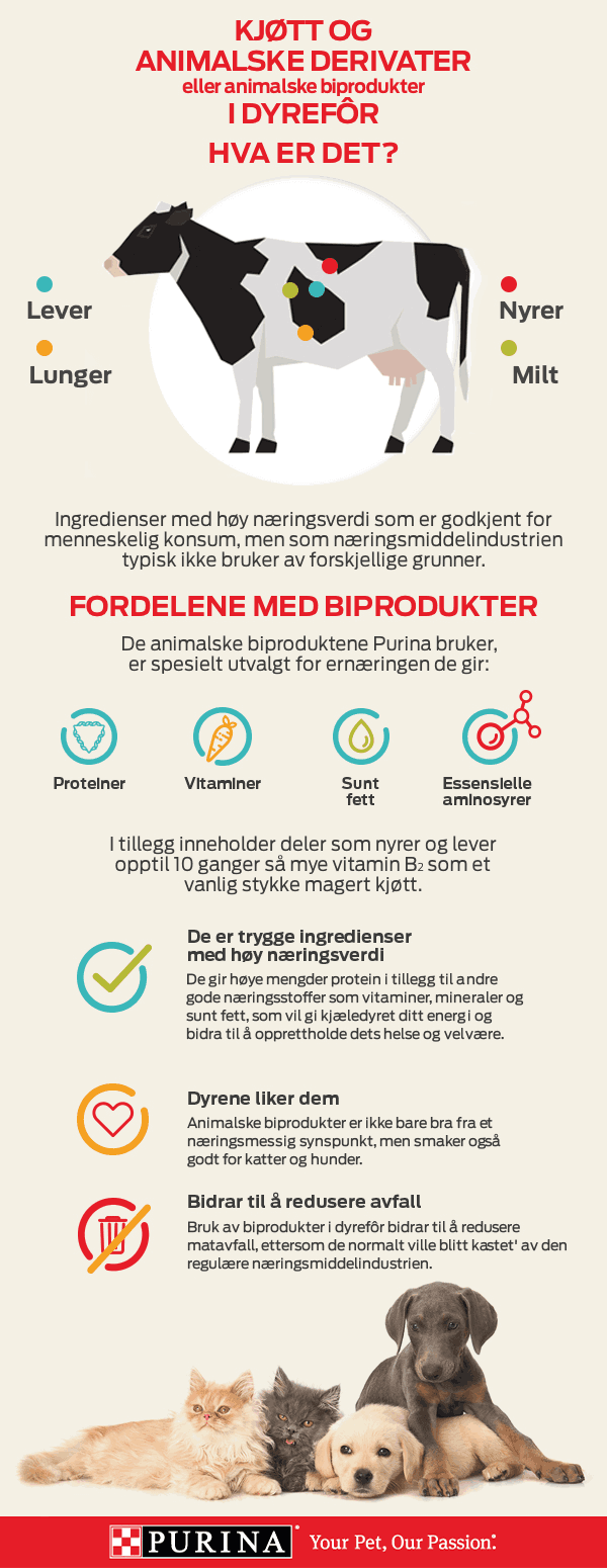 Infografica_Q2Byproducts5-eng_PM_3_NO