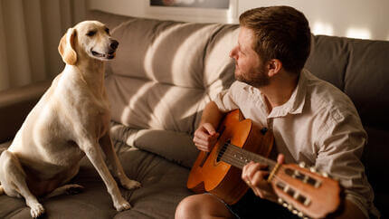 Hunden lytter til eieren spille gitar