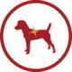 Shiny Coat Dog Icon