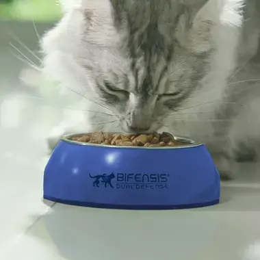 PURINA ONE® Sterilcat Katt, Rik på Storfe og Hvete