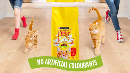 Friskies kattemat