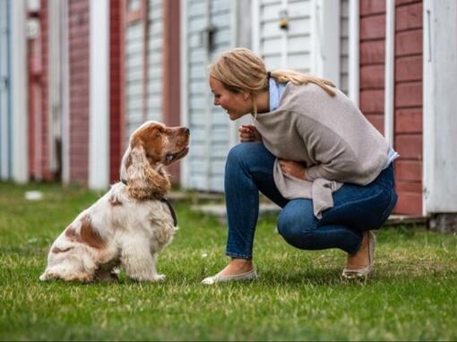 Kvinne ser på hund