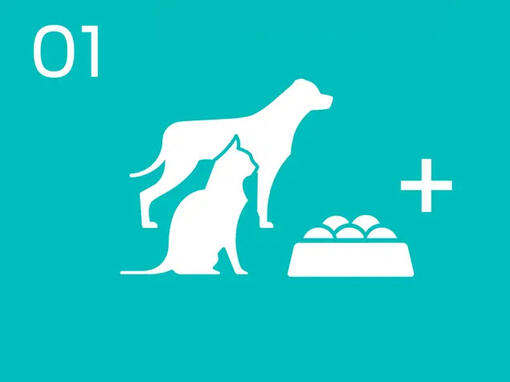 Infografisk katt og hund med bolle