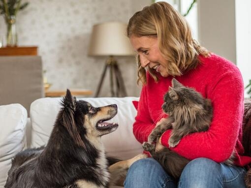 Kvinne og katt ser på hund