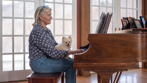 Hunden lytter til eieren spille piano