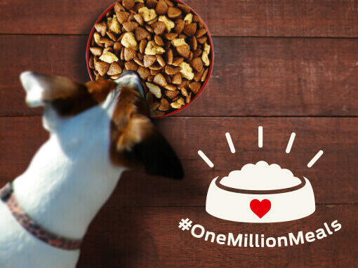 OneMillionMeals 